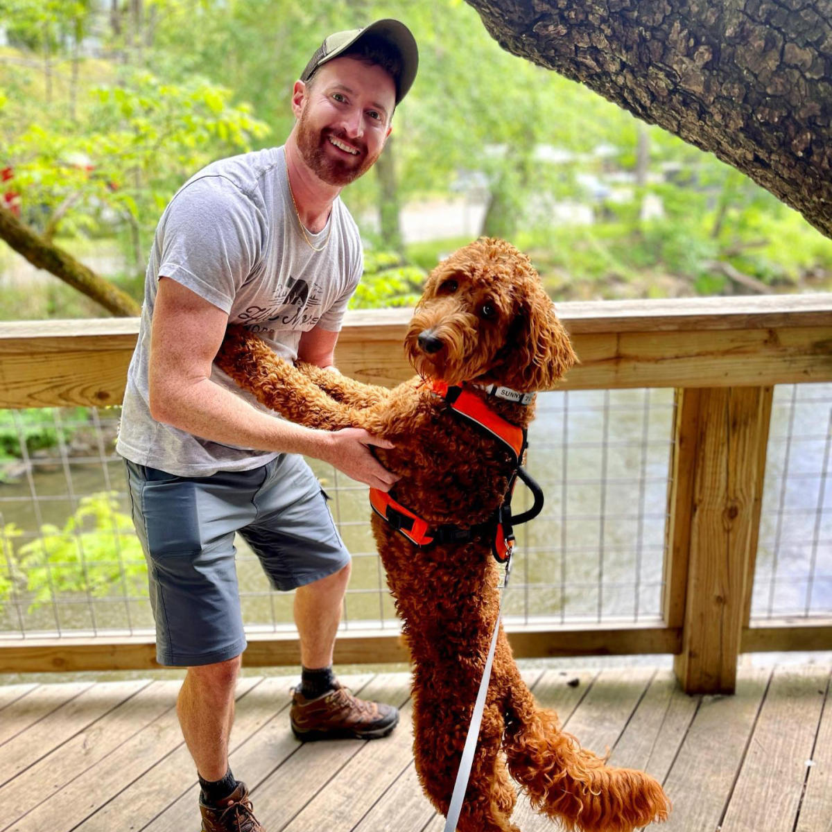 Dog Friendly - Innovation Station