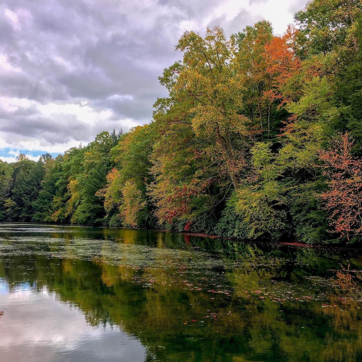 Kooser State Park