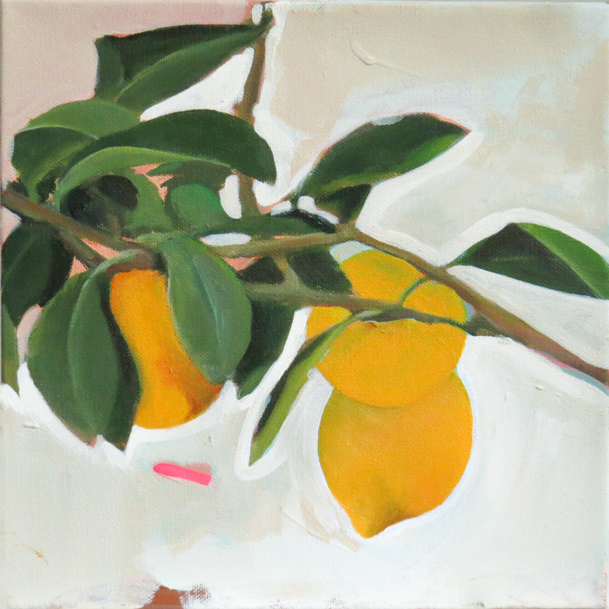 Ziyadath Radji Art in the Park