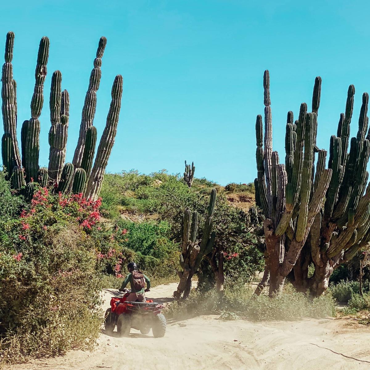 Man driving ATV in desert