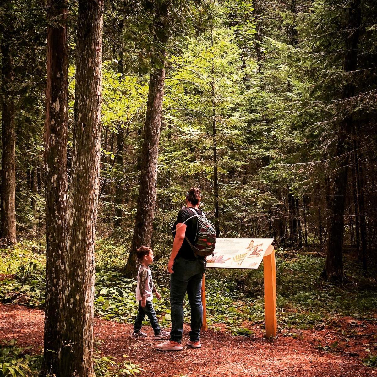 A woman and a young boy look at an interpretive sign on a trail through the woods of Mackinac Island State Park