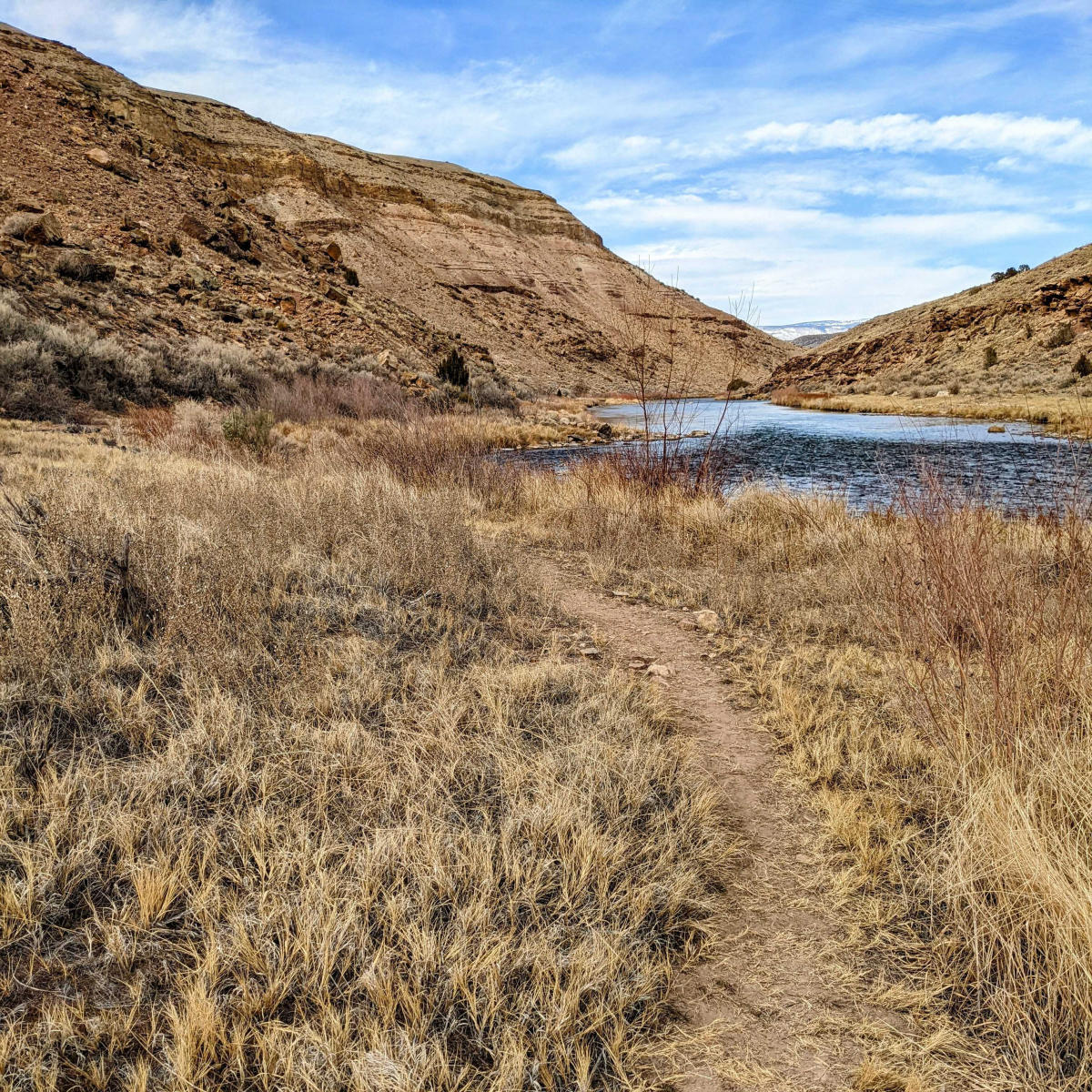 A social trail cuts through grass on the bank of the Gunnison River with canyon views and the Grand Mesa in the distance.