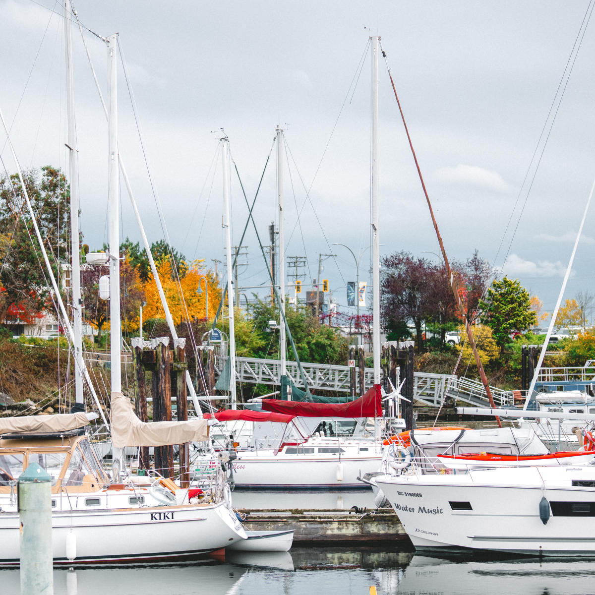 Sailboats resting in Nanaimo’s marina on a calm day, framed by colourful autumn trees and a grey coastal sky.