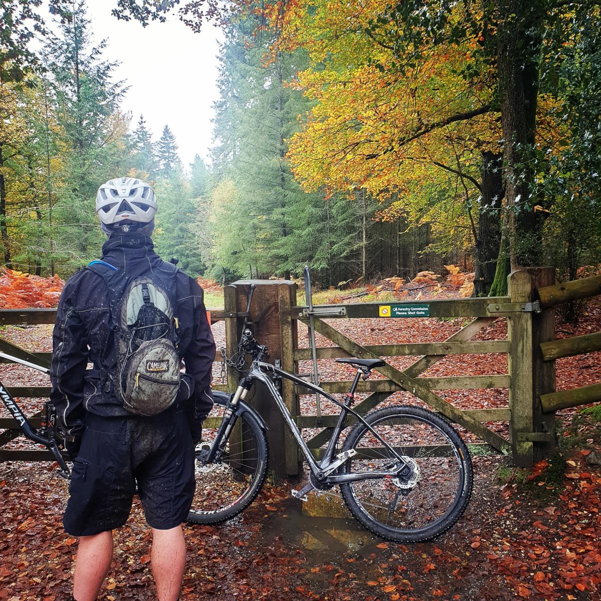 New Forest Cycling Tours - Guest Blog - Pic 5