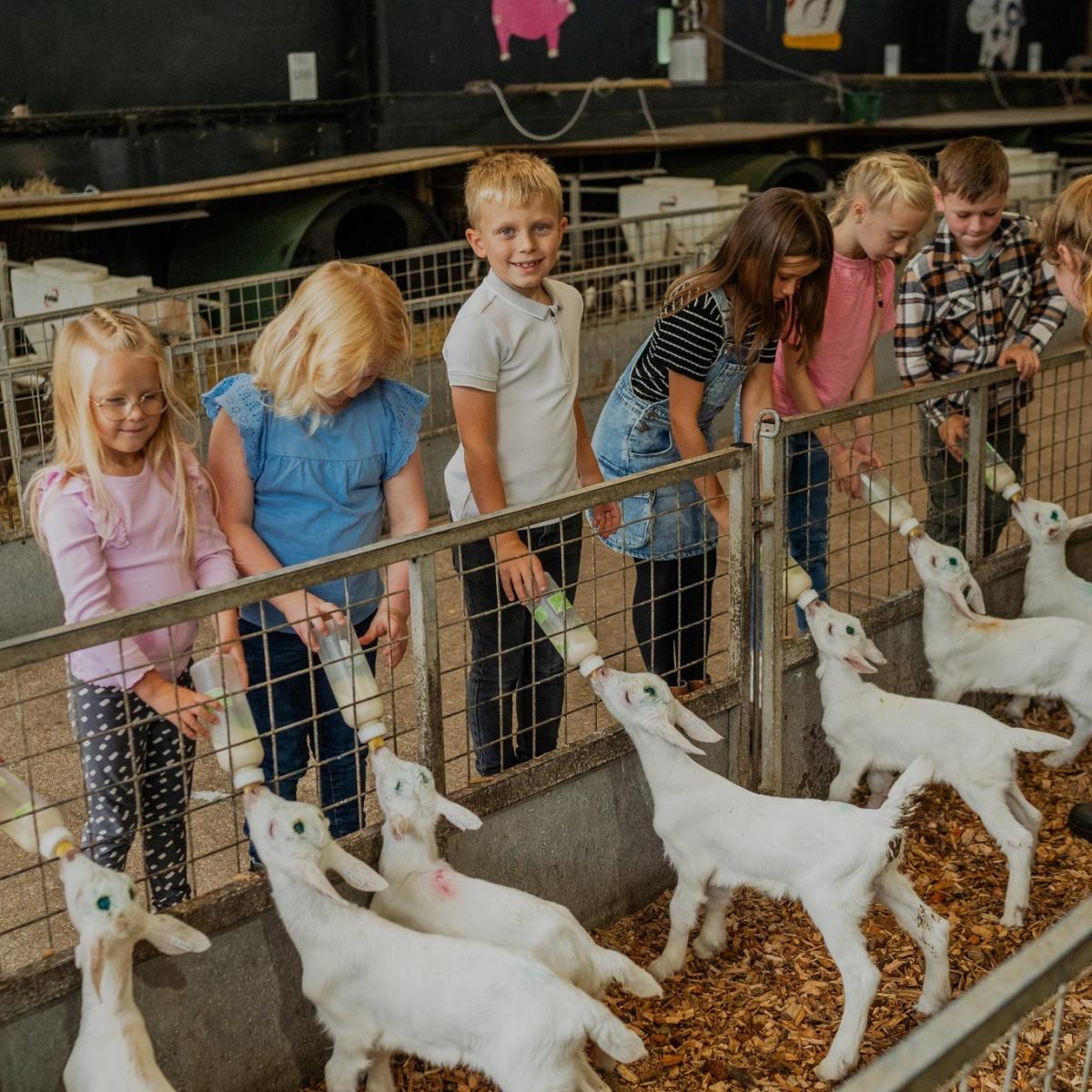 Longdown Activity Farm