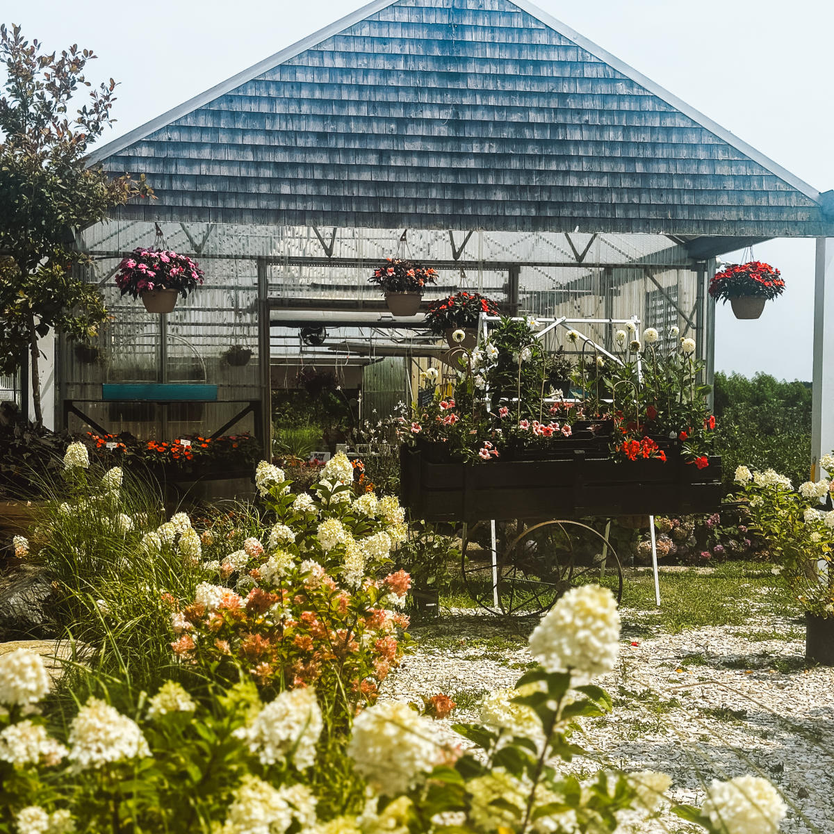 Young Family Farm