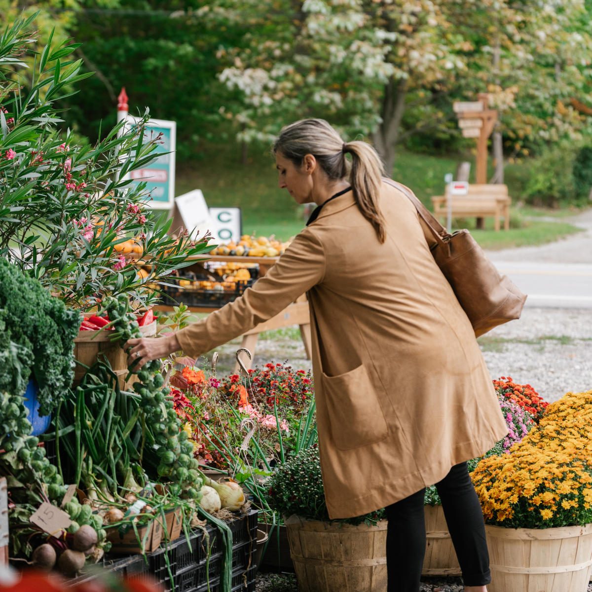 Romagnoli Farm Stand
