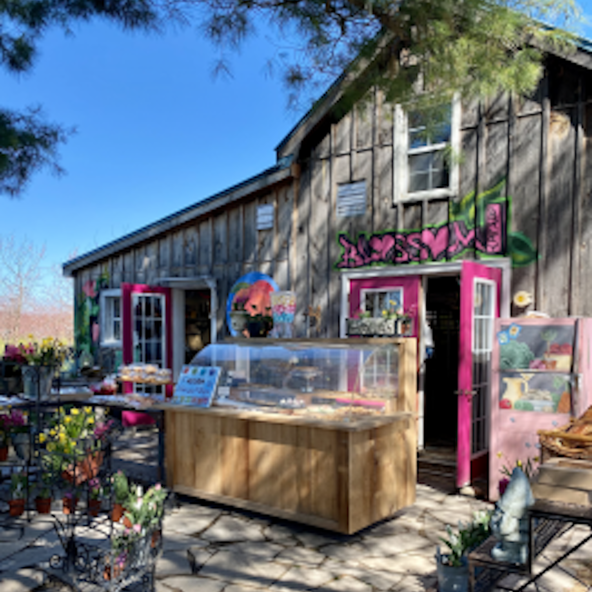 Blossom Bakery Jordan