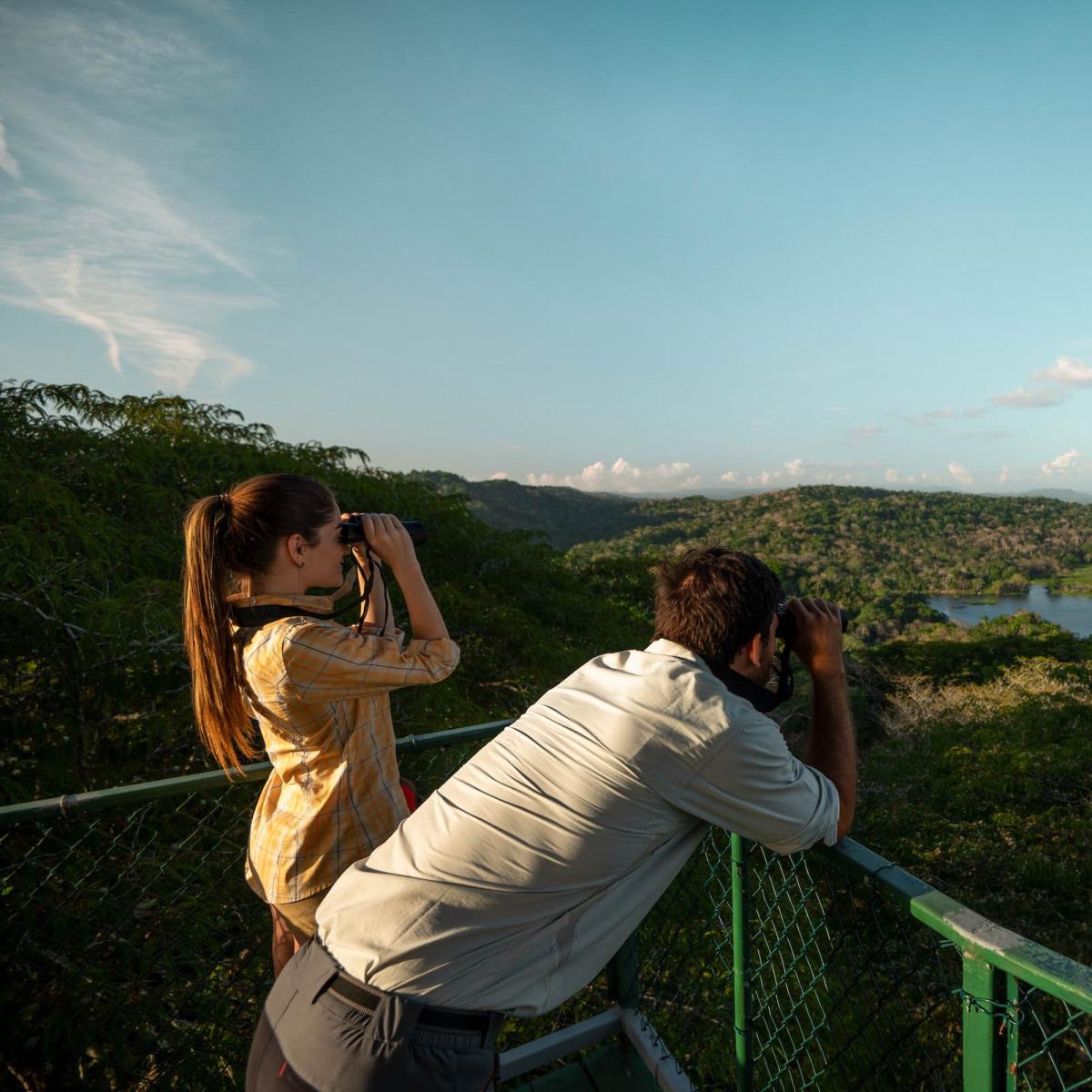 Tourists birdwatching at Soberanía National Park