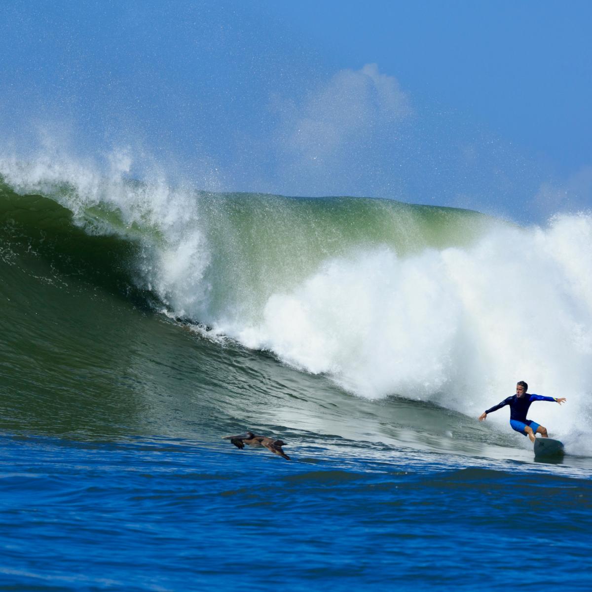 Surf Veraguas