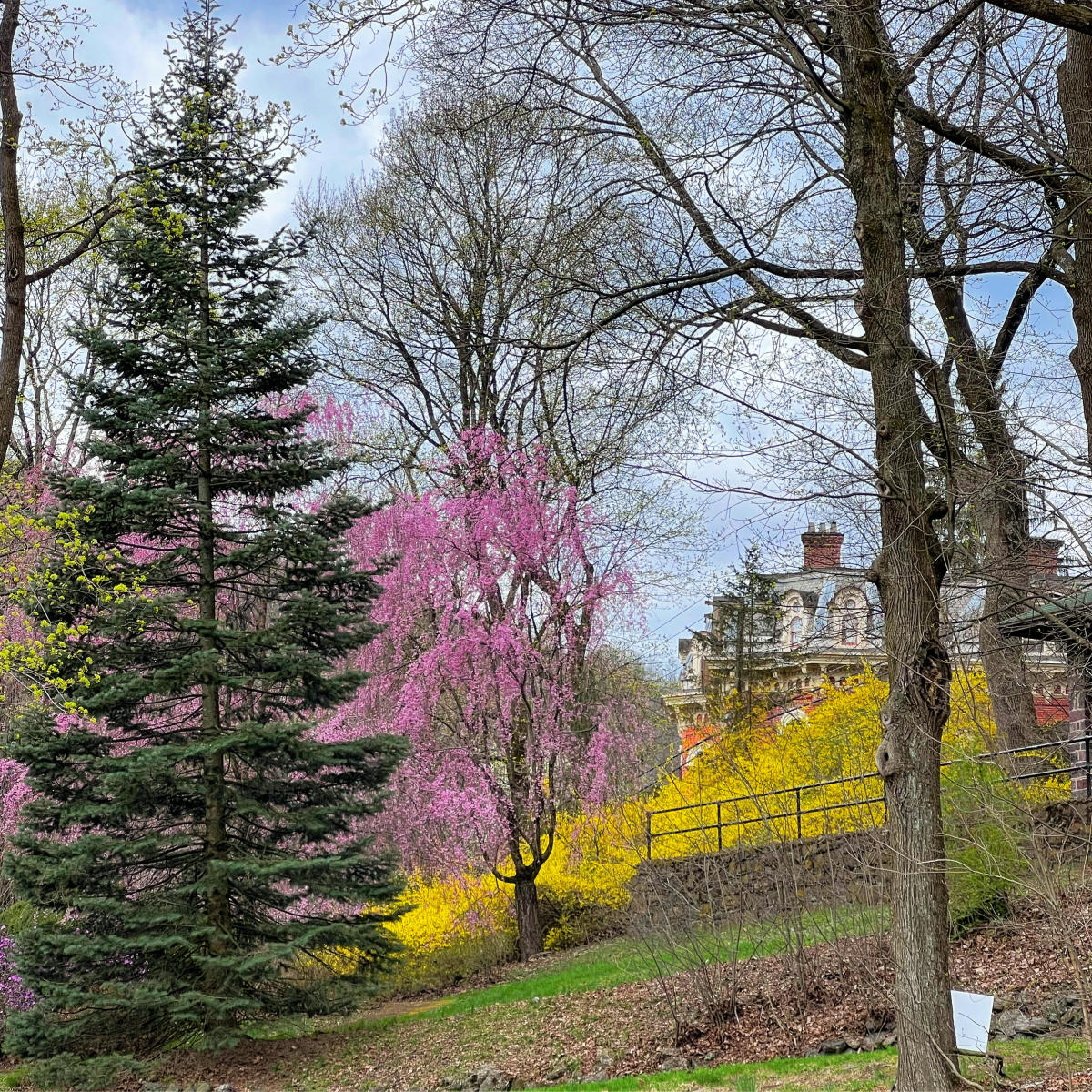 Visit Kemmerer Memorial Park in Jim Thorpe PA