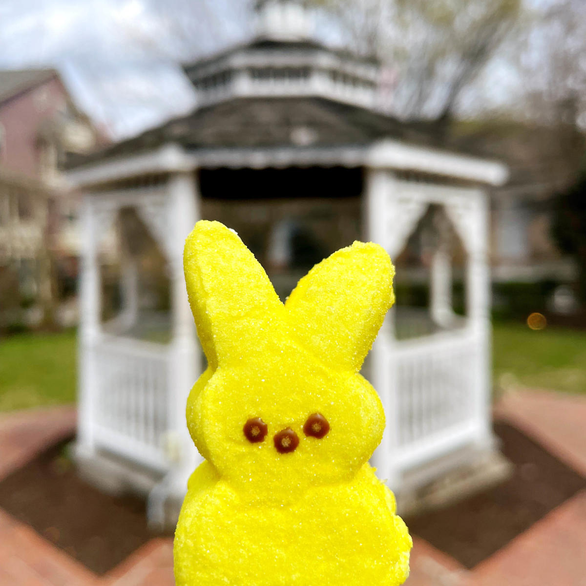 Peep
