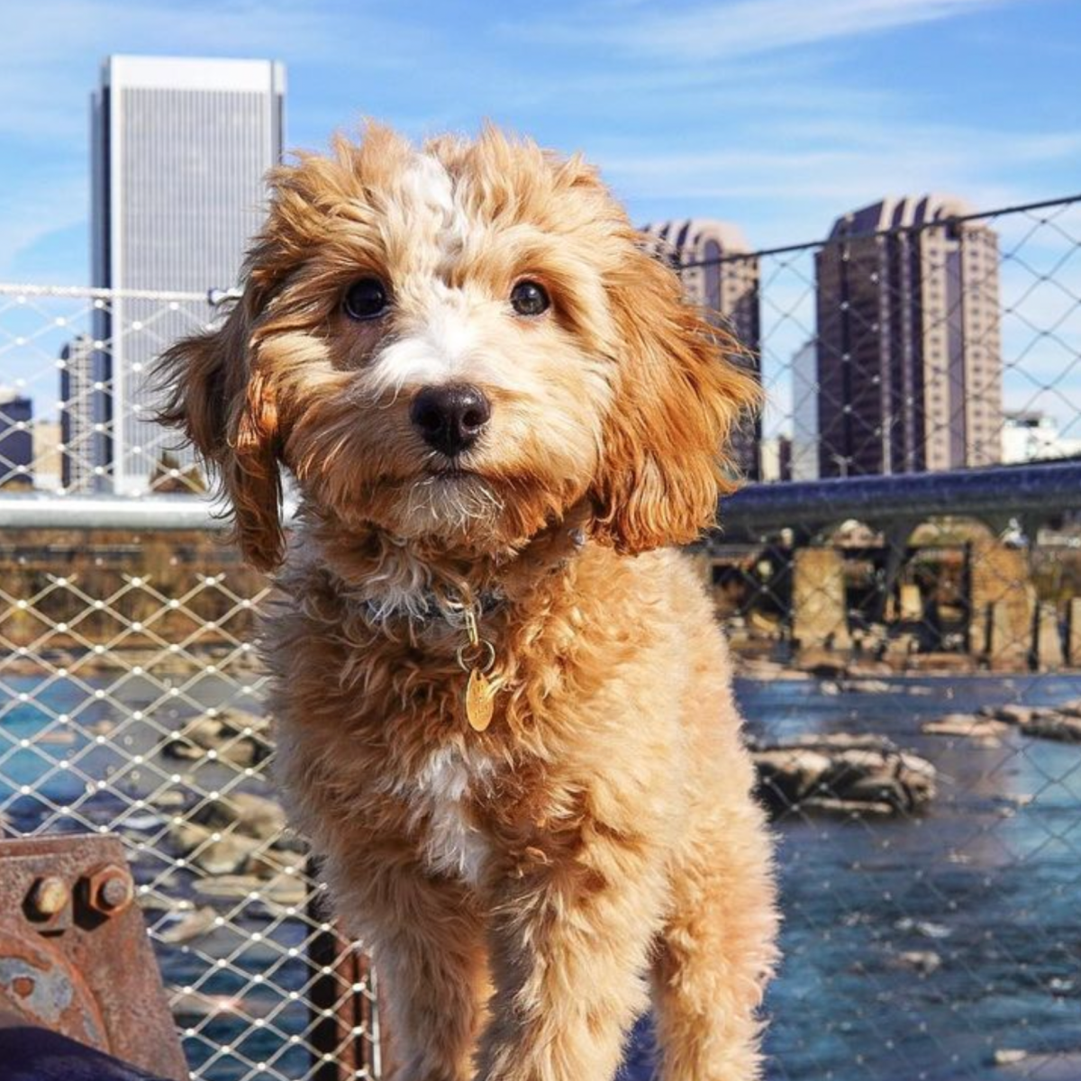 30+ Instagram-Worthy Spots to Visit in Downtown Richmond