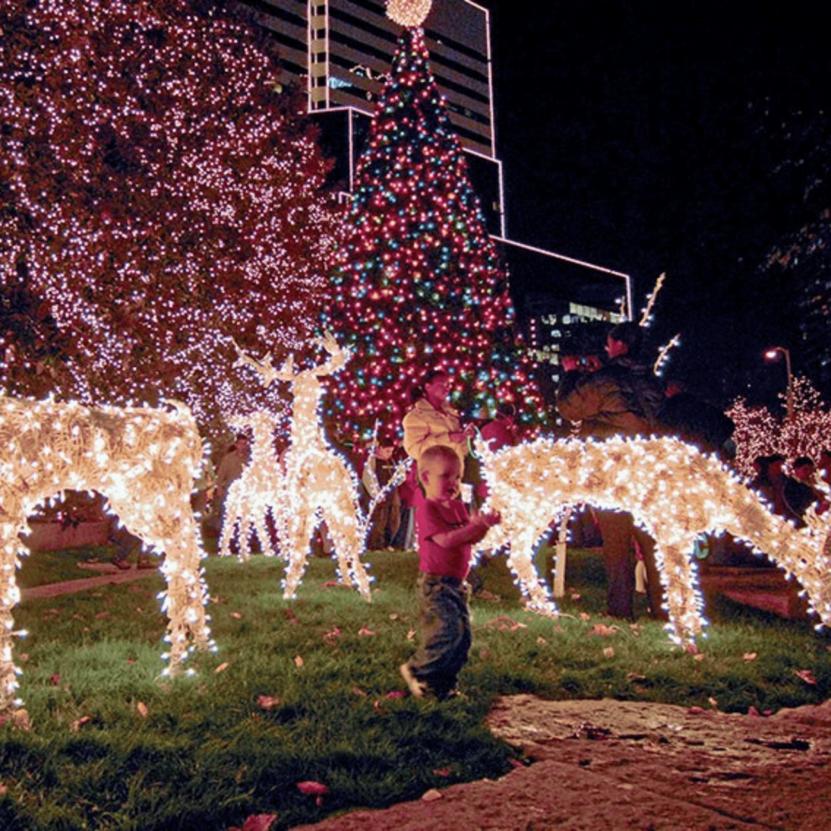 RVA Illuminates