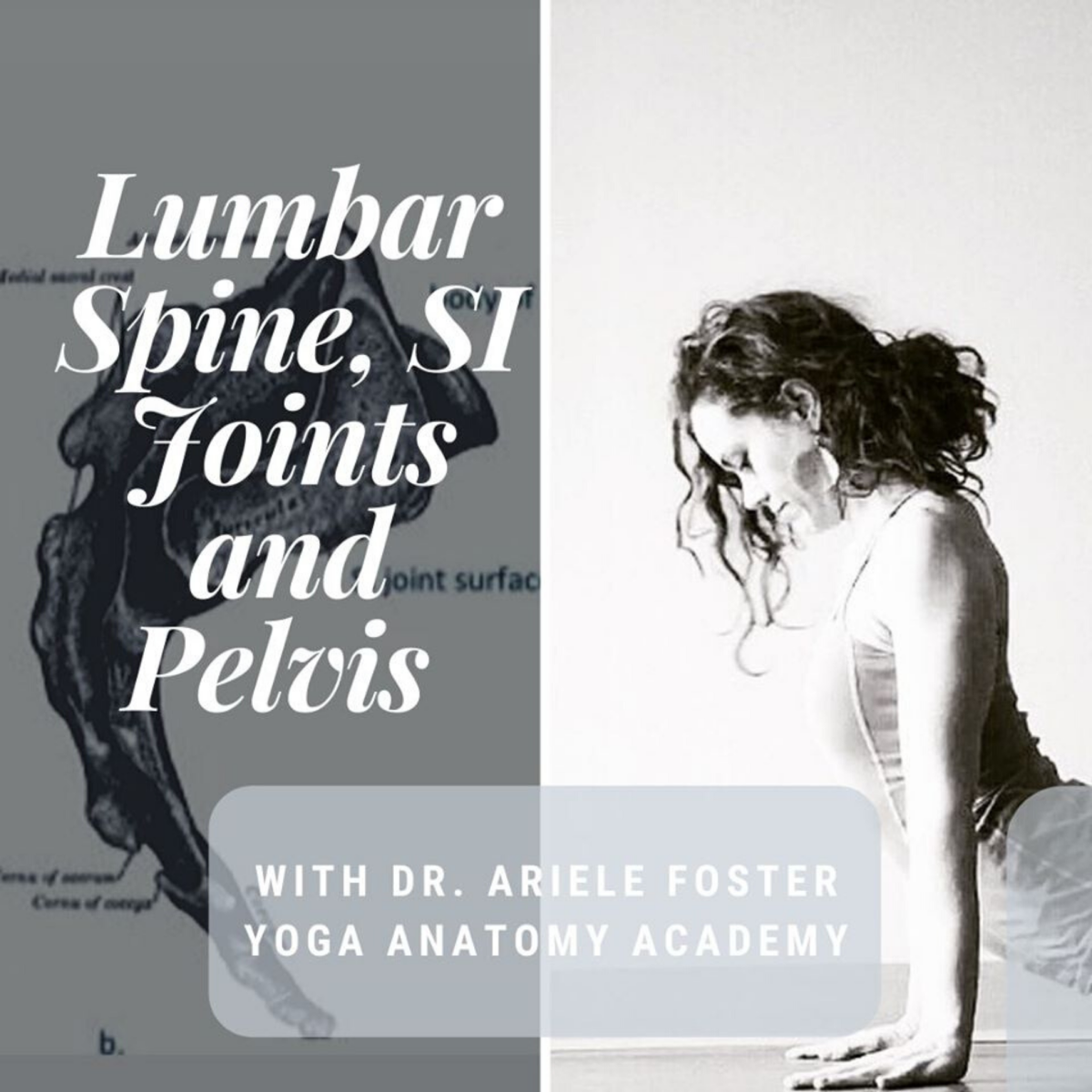 CEU Workshop: Lumbar Spine, SI Joints & Pelvis w/ Ariele