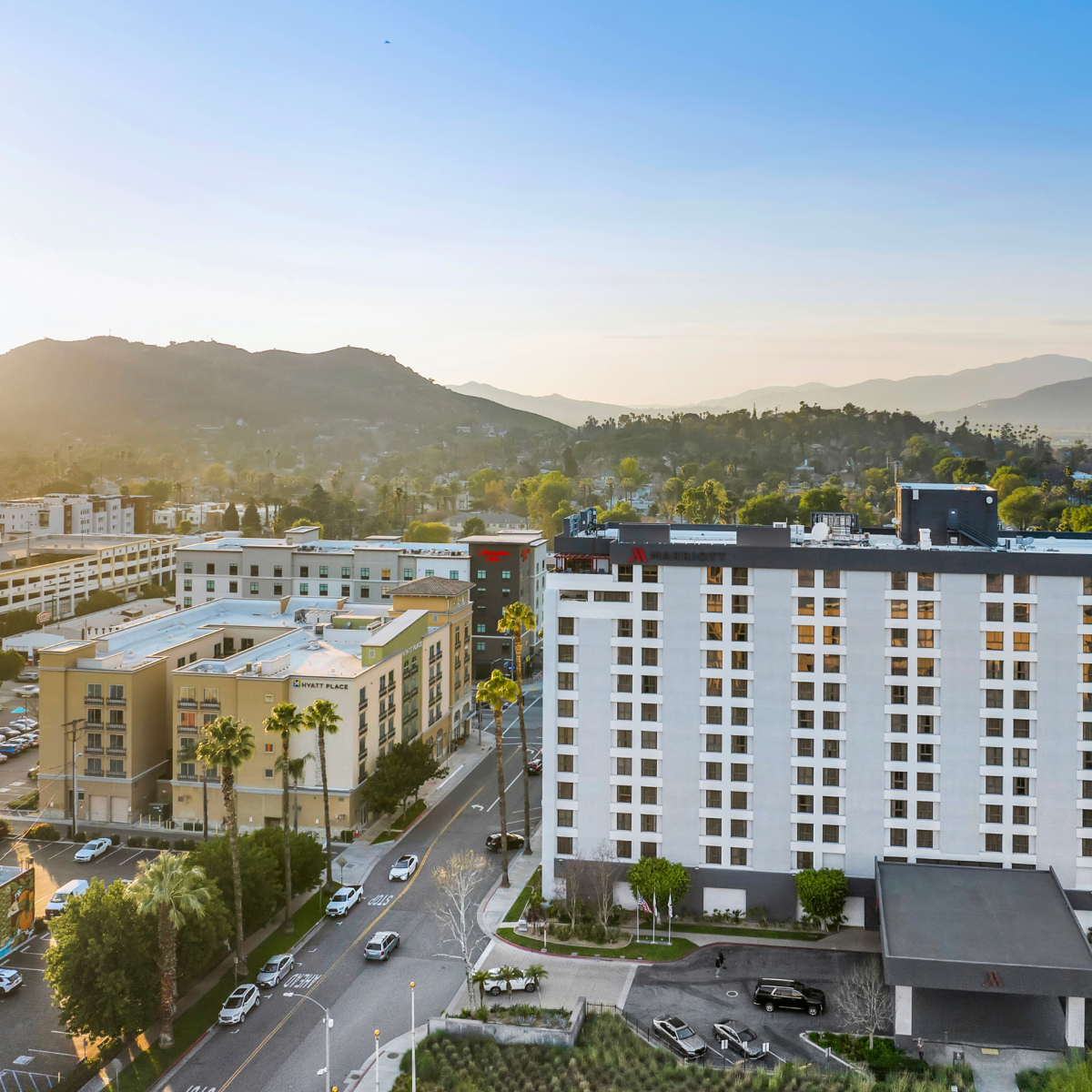 Hotel Options - Meeting Planner Page