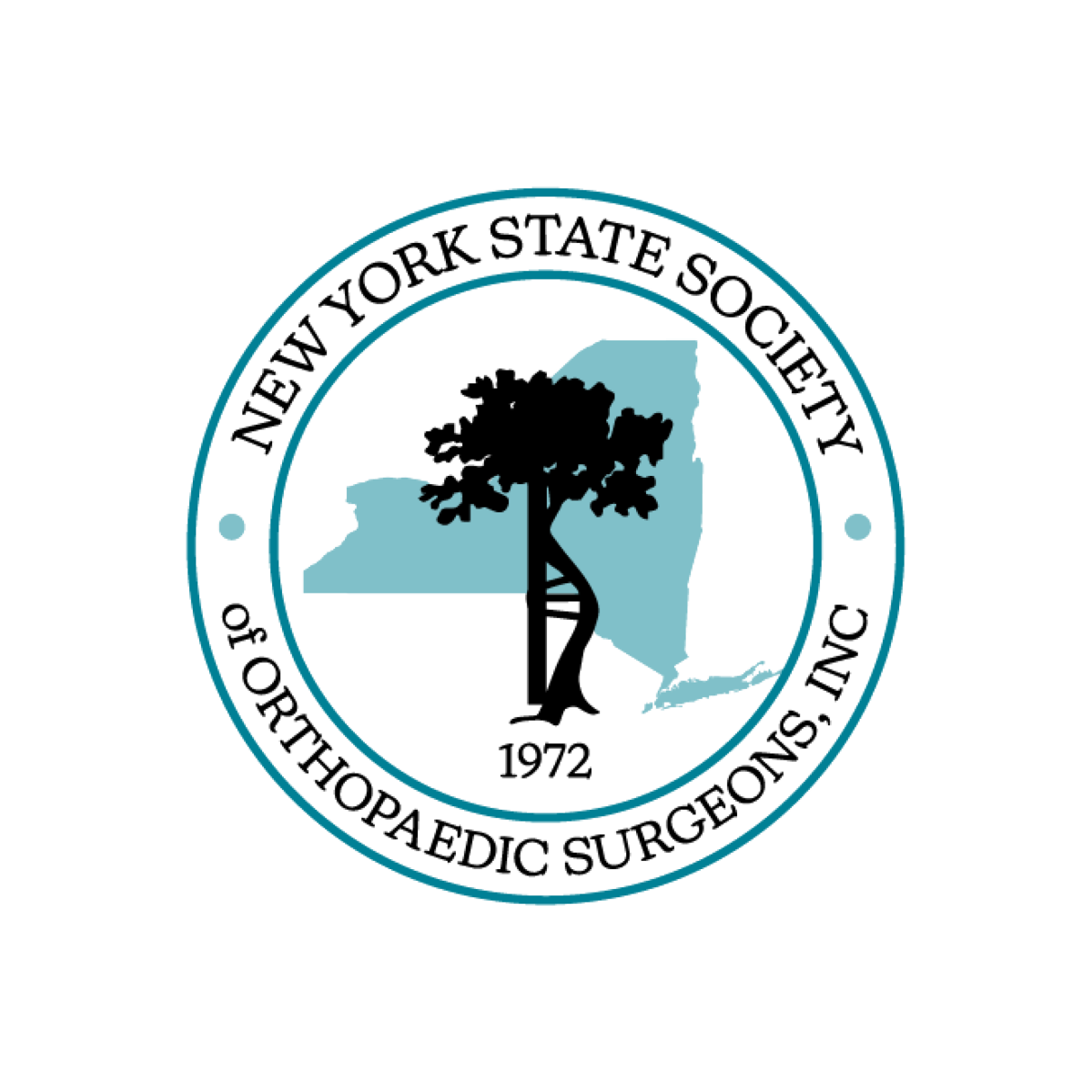nyssos logo