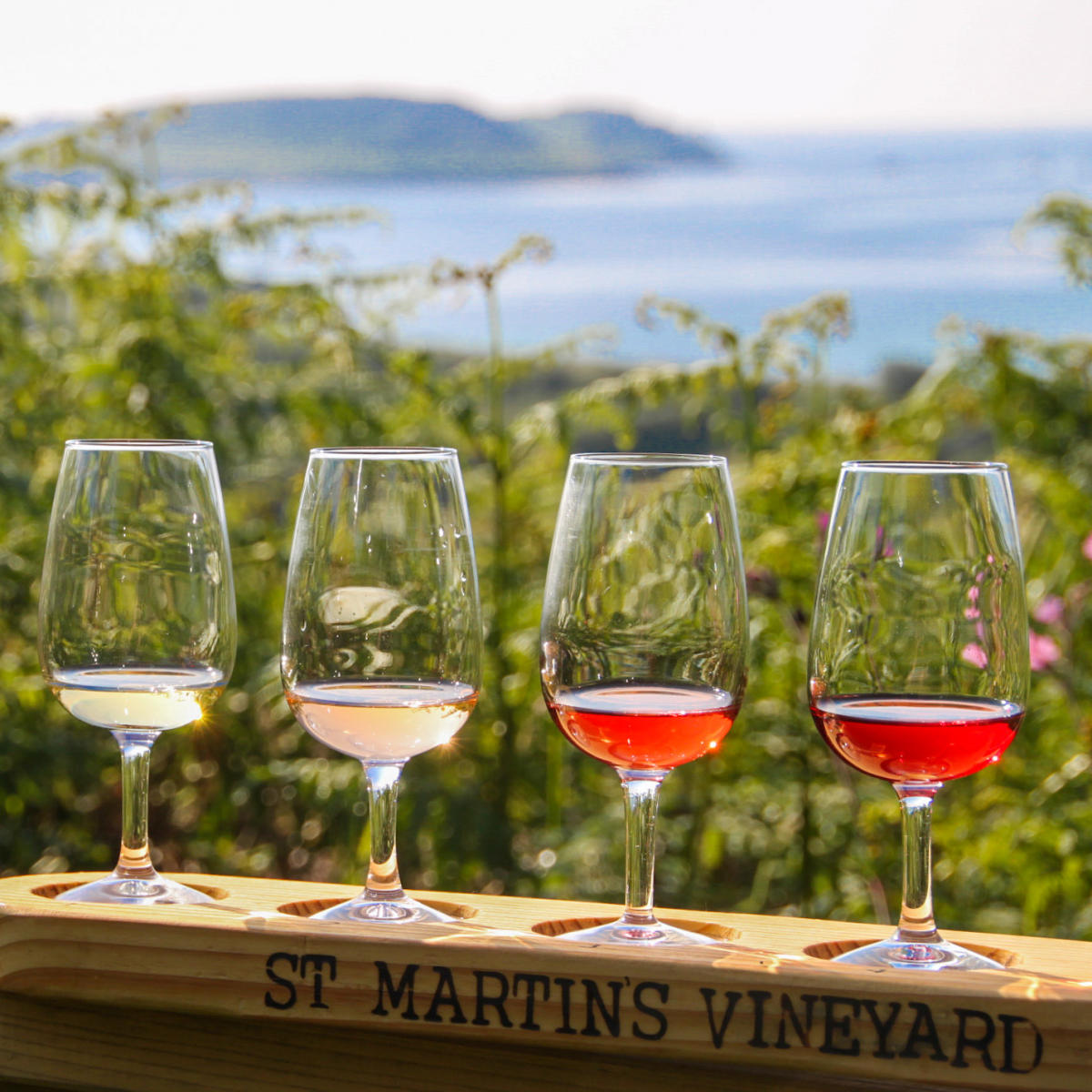 St. Martin's Vineyard