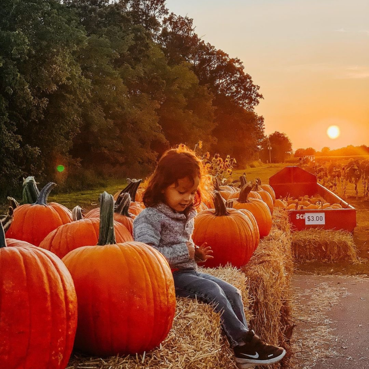 pumpkins, fall, girl, hay ride
