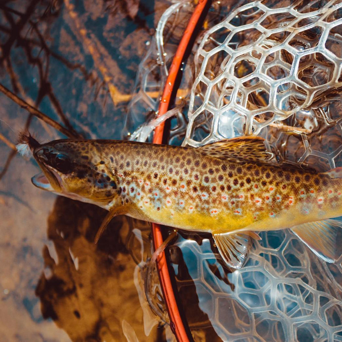 Reel in a great catch, fishing in the Stevens Point Area.