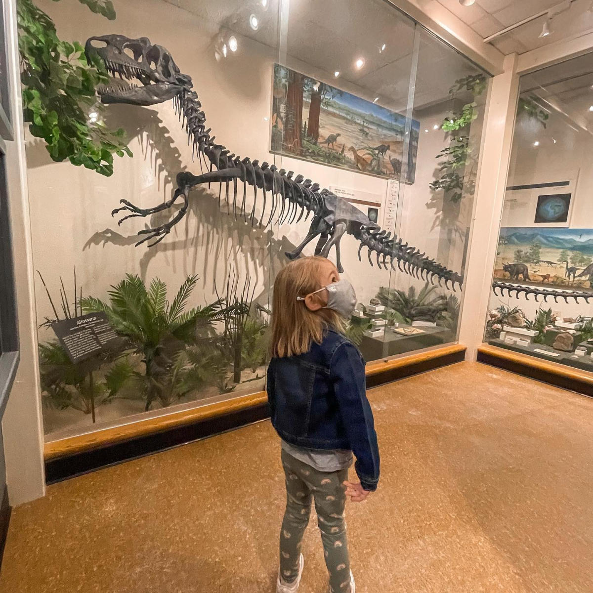 Exploring the UW-Stevens Point Museum of Natural History in the Stevens Point Area.