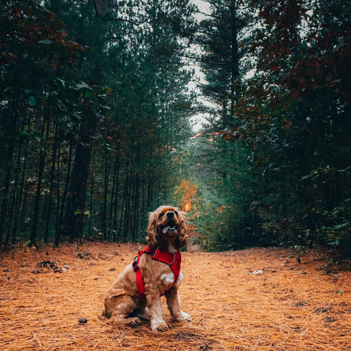 Outdoor Adventures