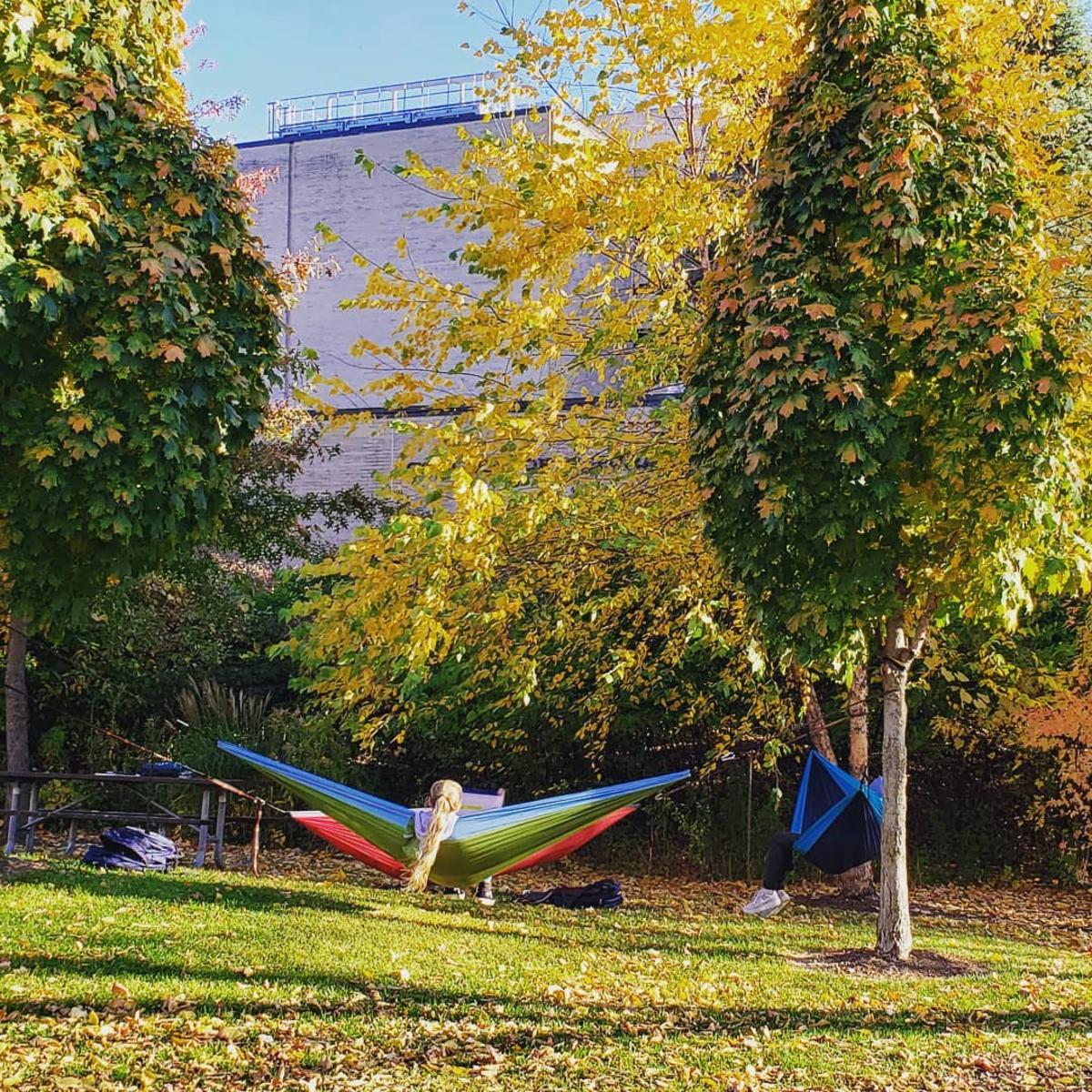 hammock in fall