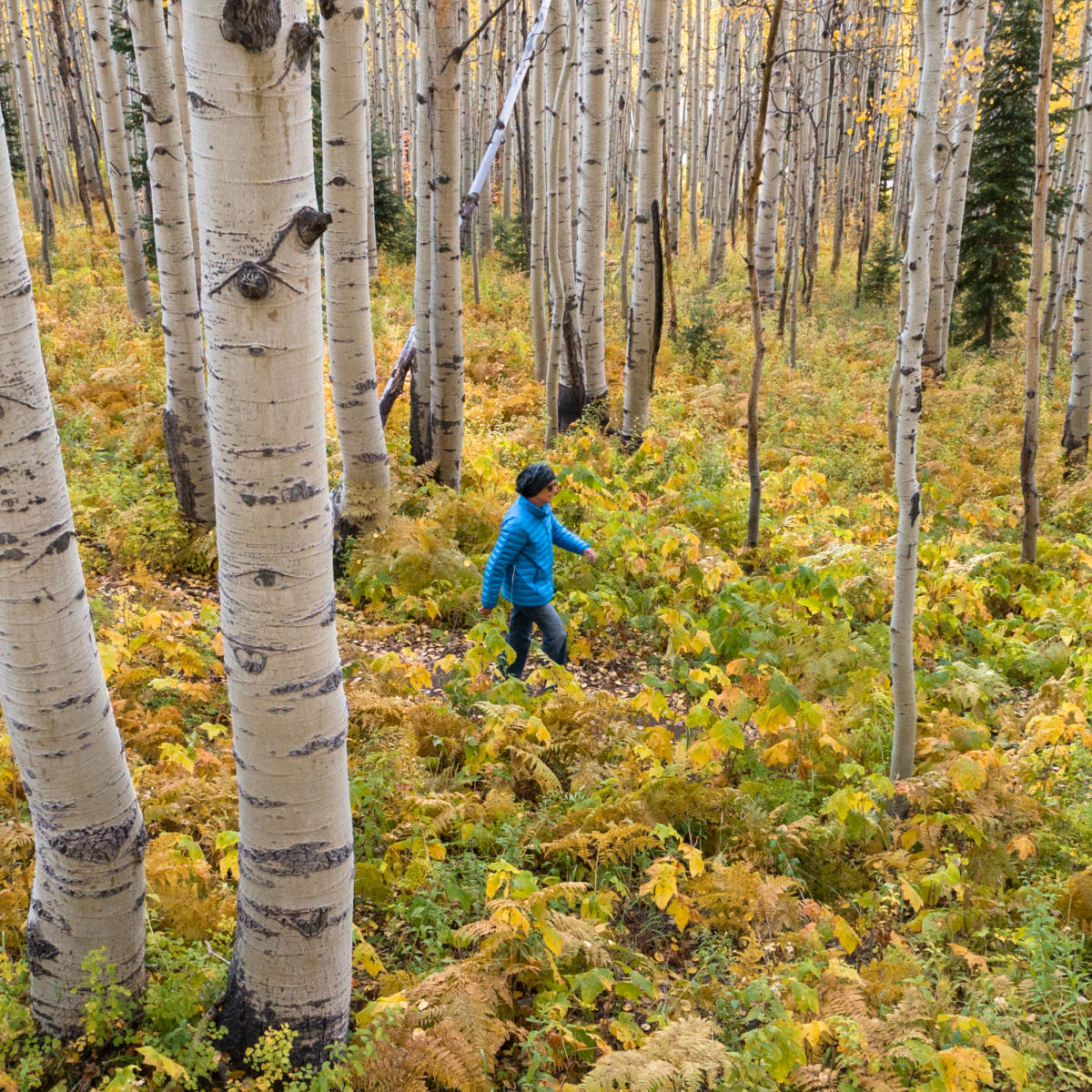 Fall Hiking in Steamboat Springs