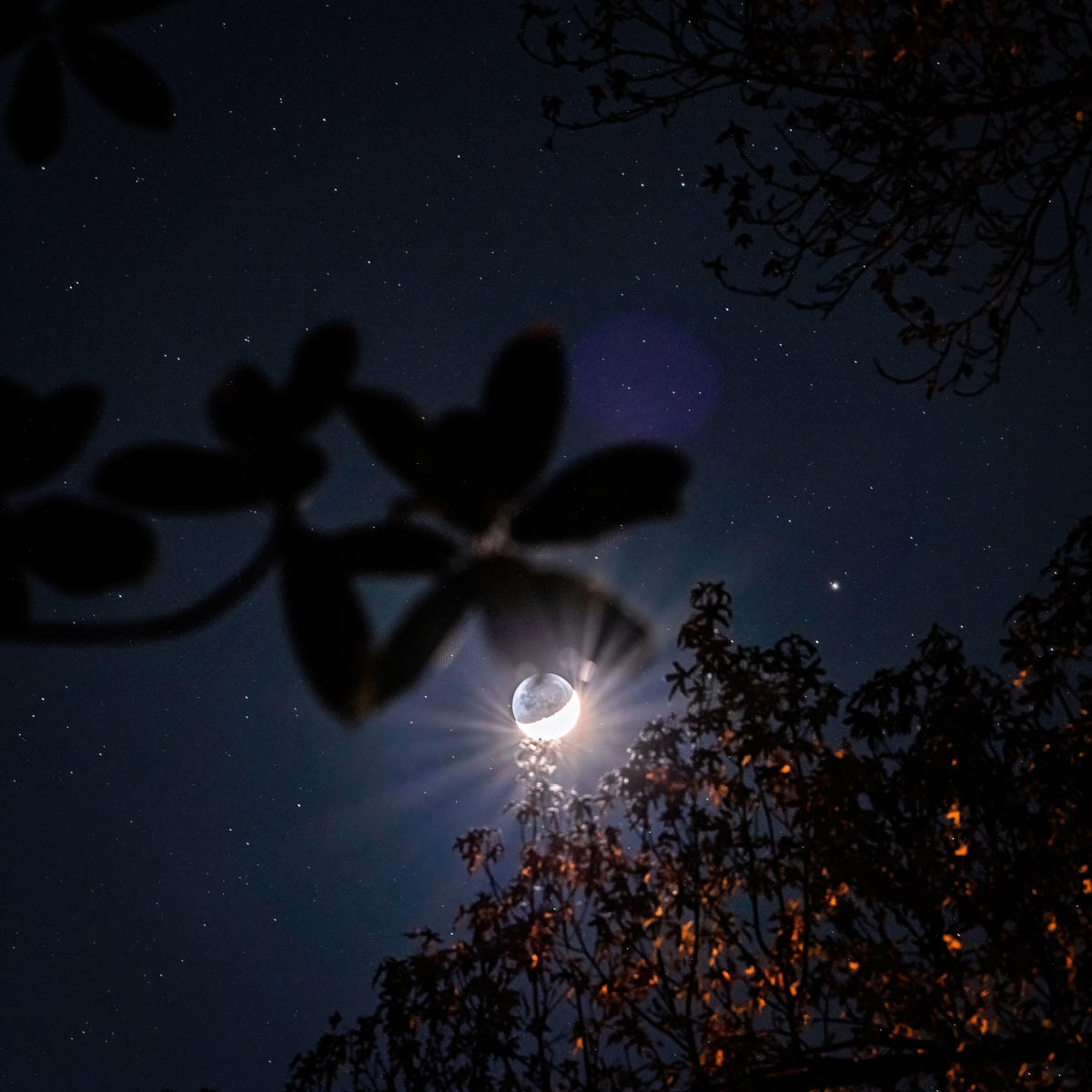 Stargazing on The Northshore | Best Dark Sky Places in St. Tammany, image size:1200x1200