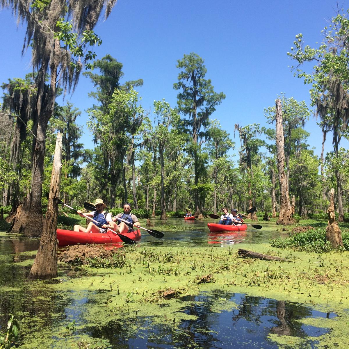 Kayaking Honey Island Swamp