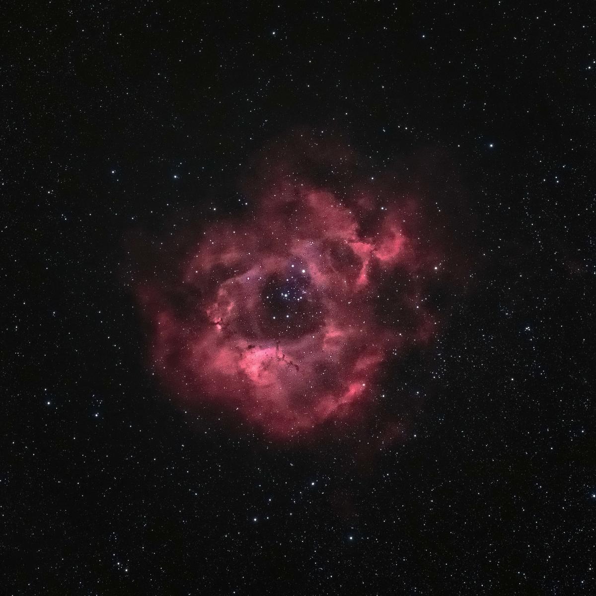 Rosette nebula photo by Derek Wohltmann