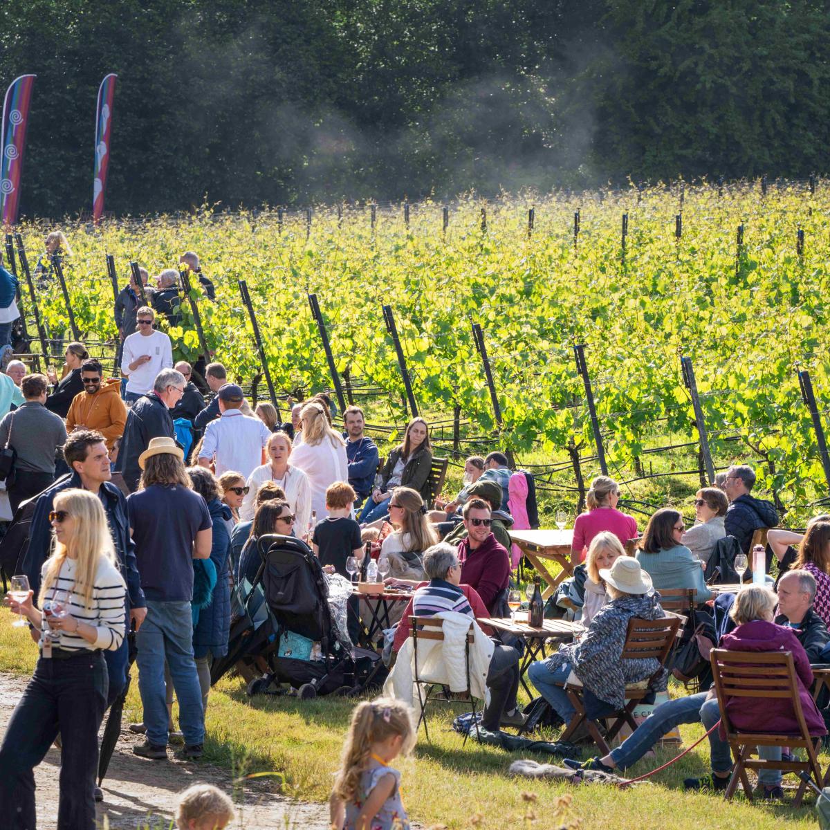 Chilworth Manor Vineyard - VoSH Summer Spectacular