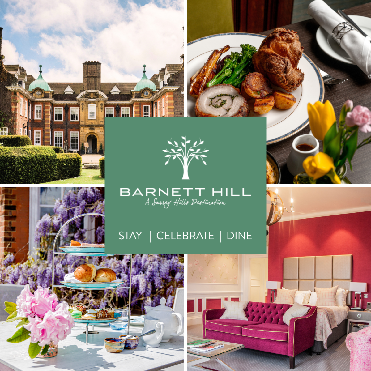 Barnett Hill Banner