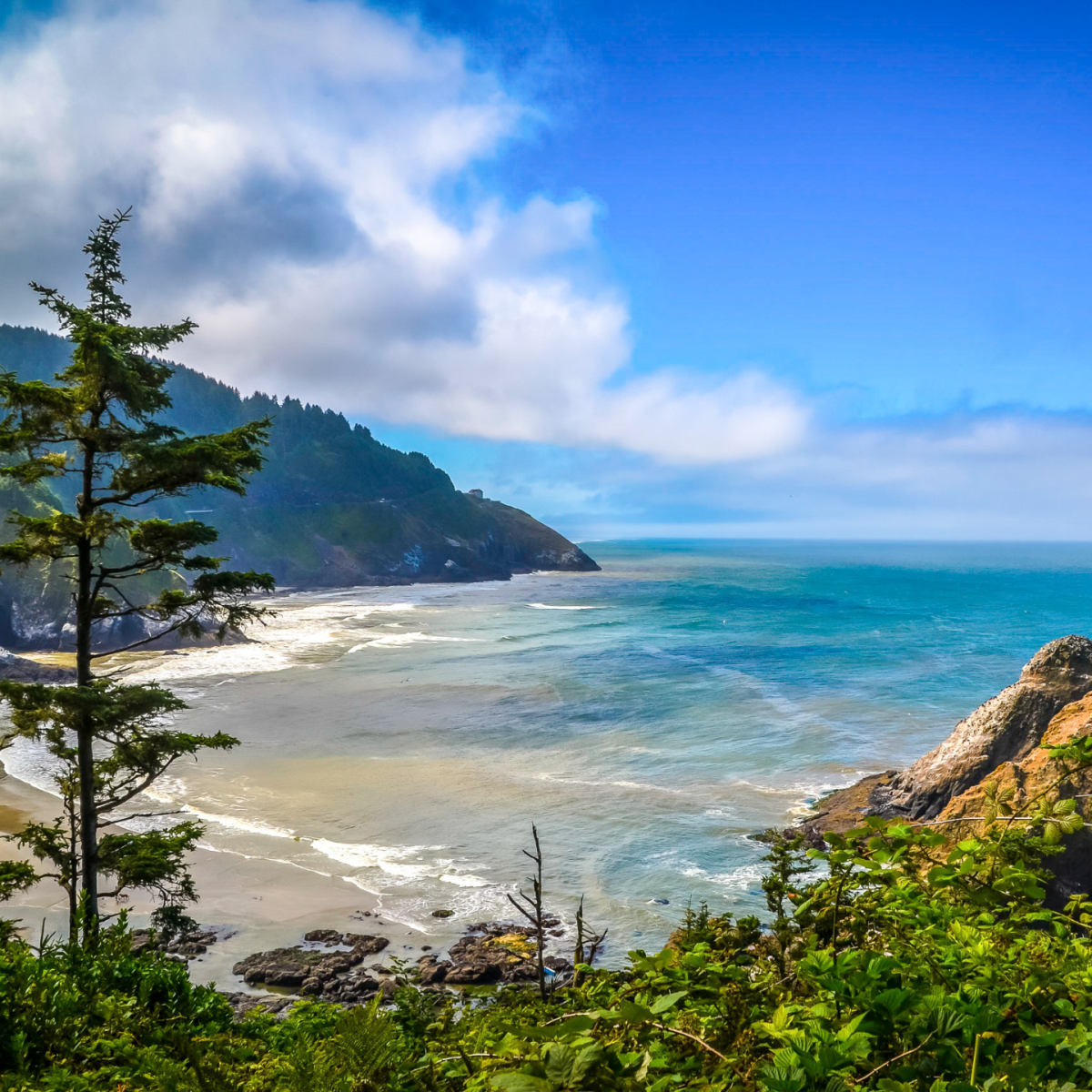 Oregon Coast