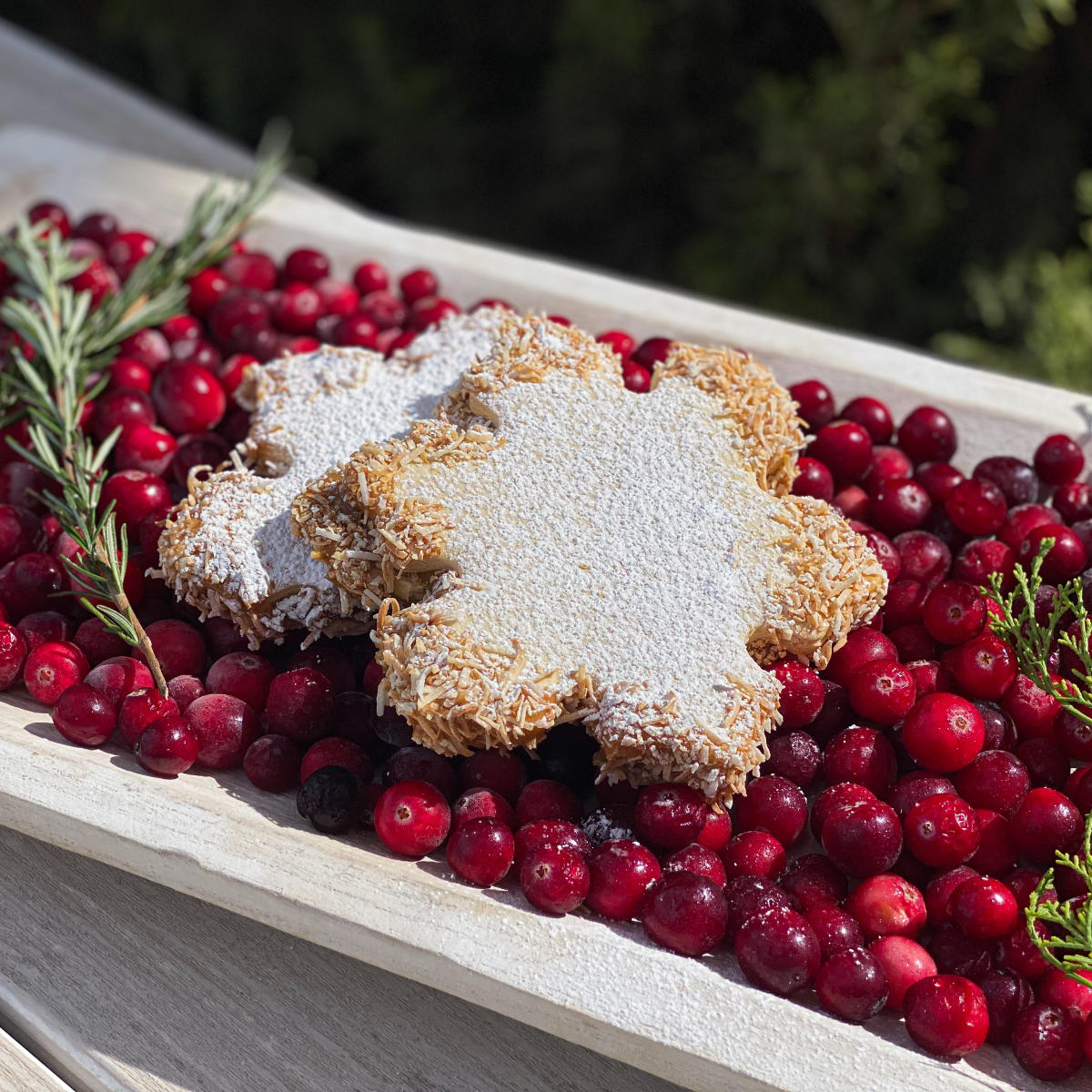 Chilled Holiday Cookie Recipe, Europa Village, Alfajores Snowflake