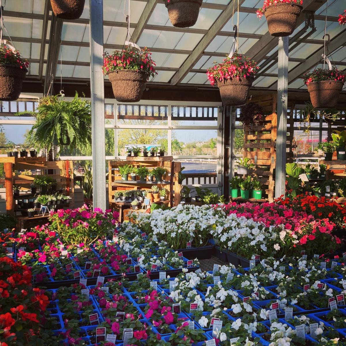 Greenhouse