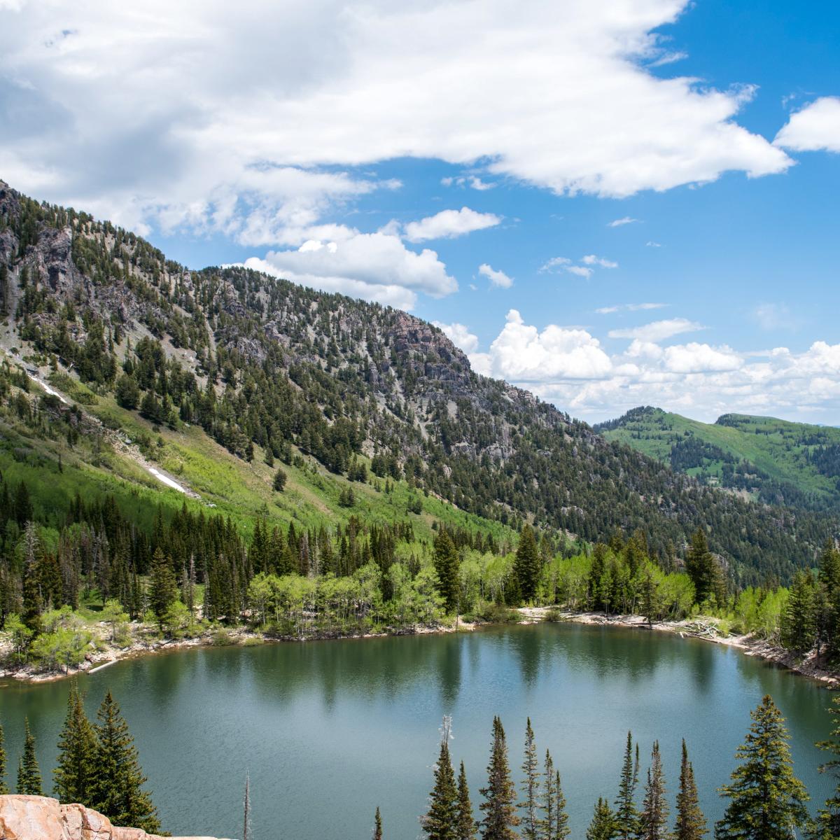 Pitsburg Lake