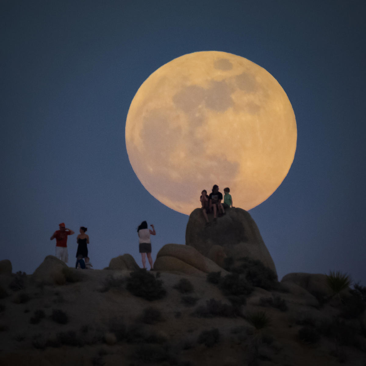 Joshua Tree National Park Full Moon NPS Julianne Koza