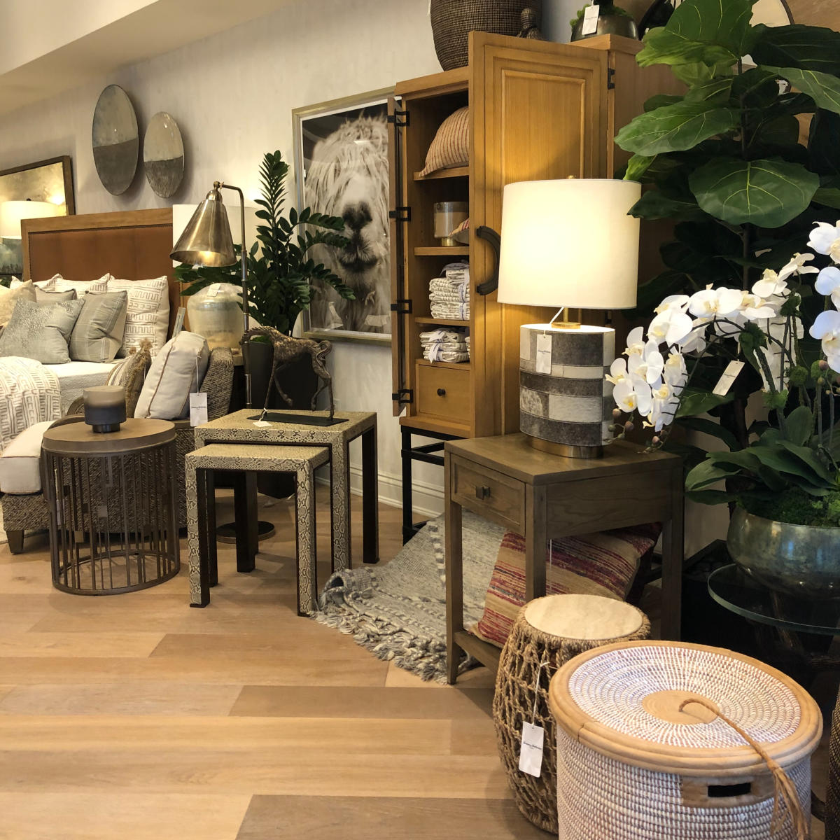 Home furnishings at Tommy Bahama Home