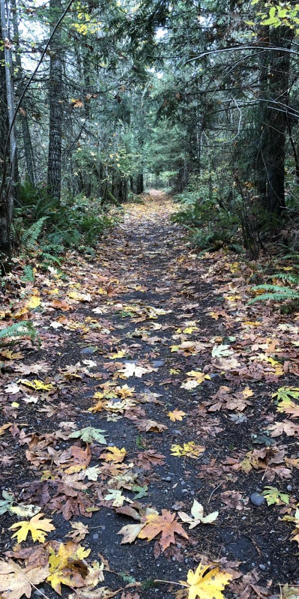Foothills Trail