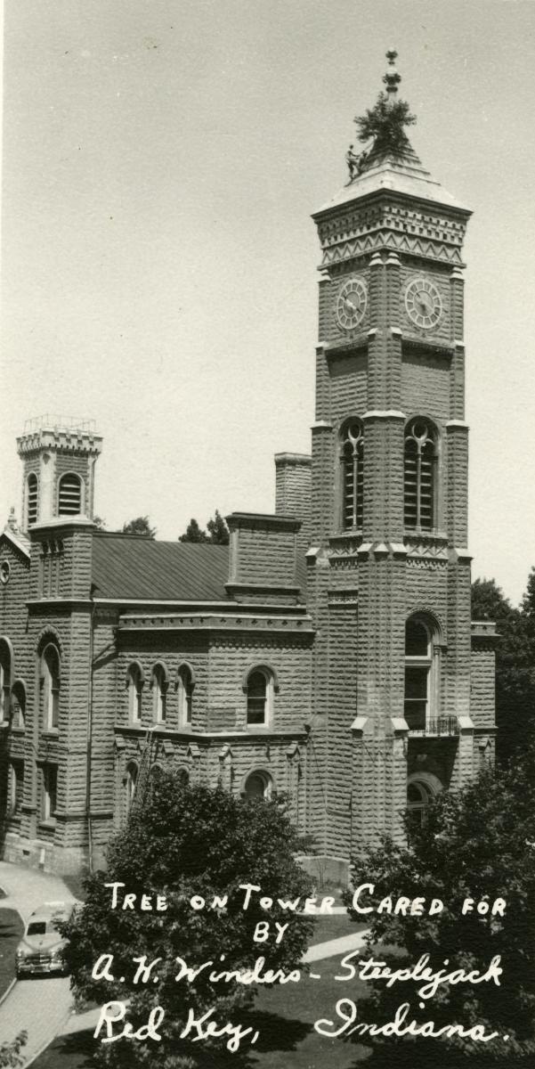 Black-and-white vintage postcard photo of a tall Gothic Revival stone clock tower attached to a large historic building, with a small tree growing at the top near a steeplejack working on the spire. Handwritten caption at the bottom reads "Tree on Tower Cared for by A.W. Winders - Steeplejack, Red Key, Indiana."