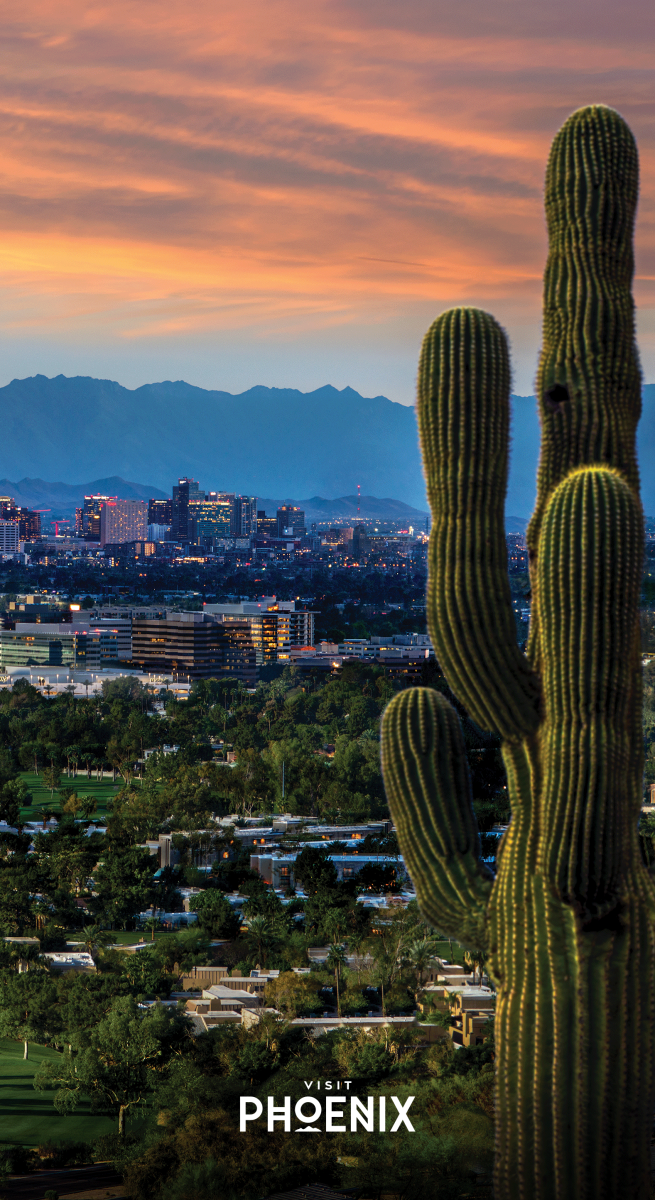 Downtown Phoenix Skyline