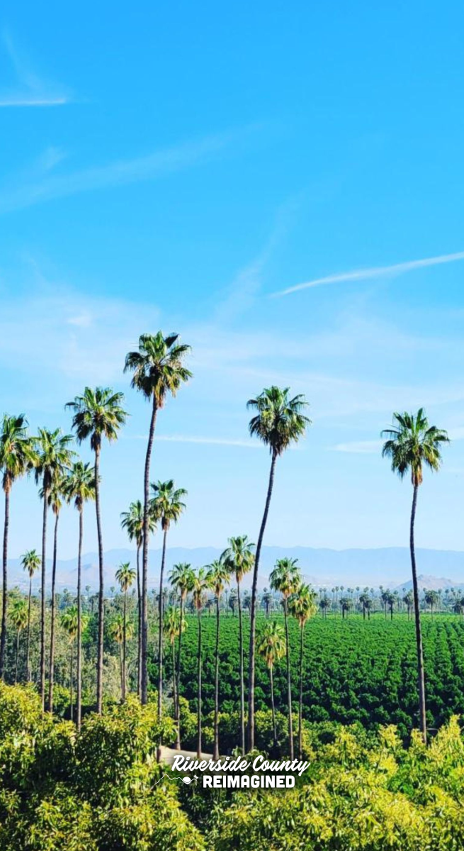 Citrus Park in Riverside County, CA, downloadable mobile wallpaper