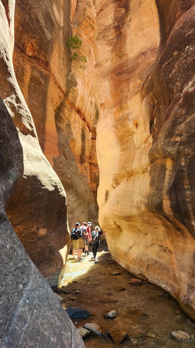 Slot Canyon_Kanarra Falls