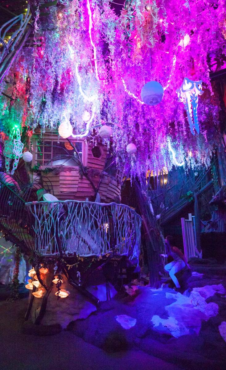 Meow Wolf