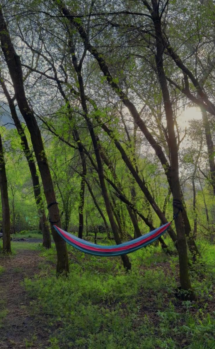 South Fork Park Hammock
