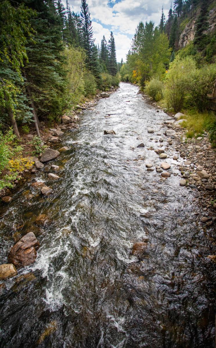 A narrow river flowing through a wooded canyon, with rocks lining the shore and dense trees on the slopes.