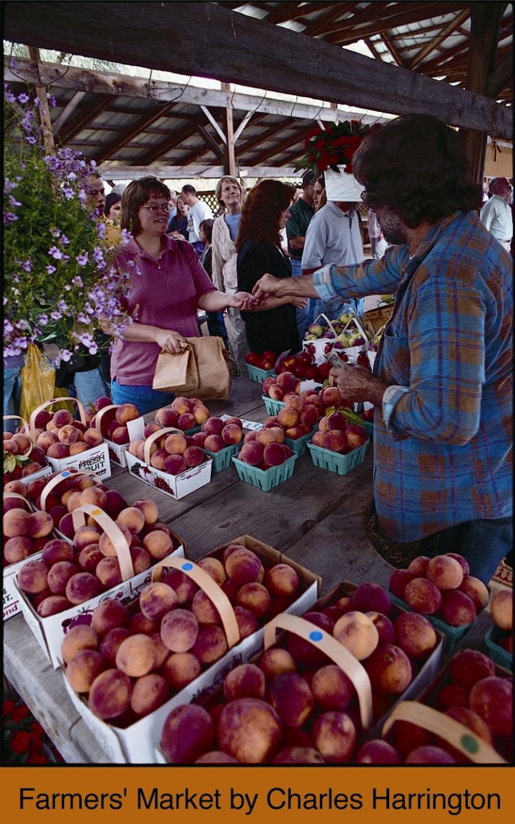 Peaches Ithaca Farmers Market