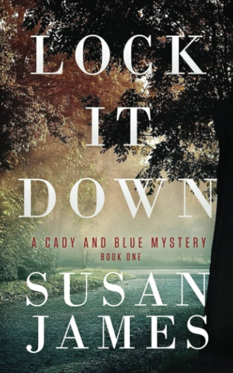Lock it Down novel