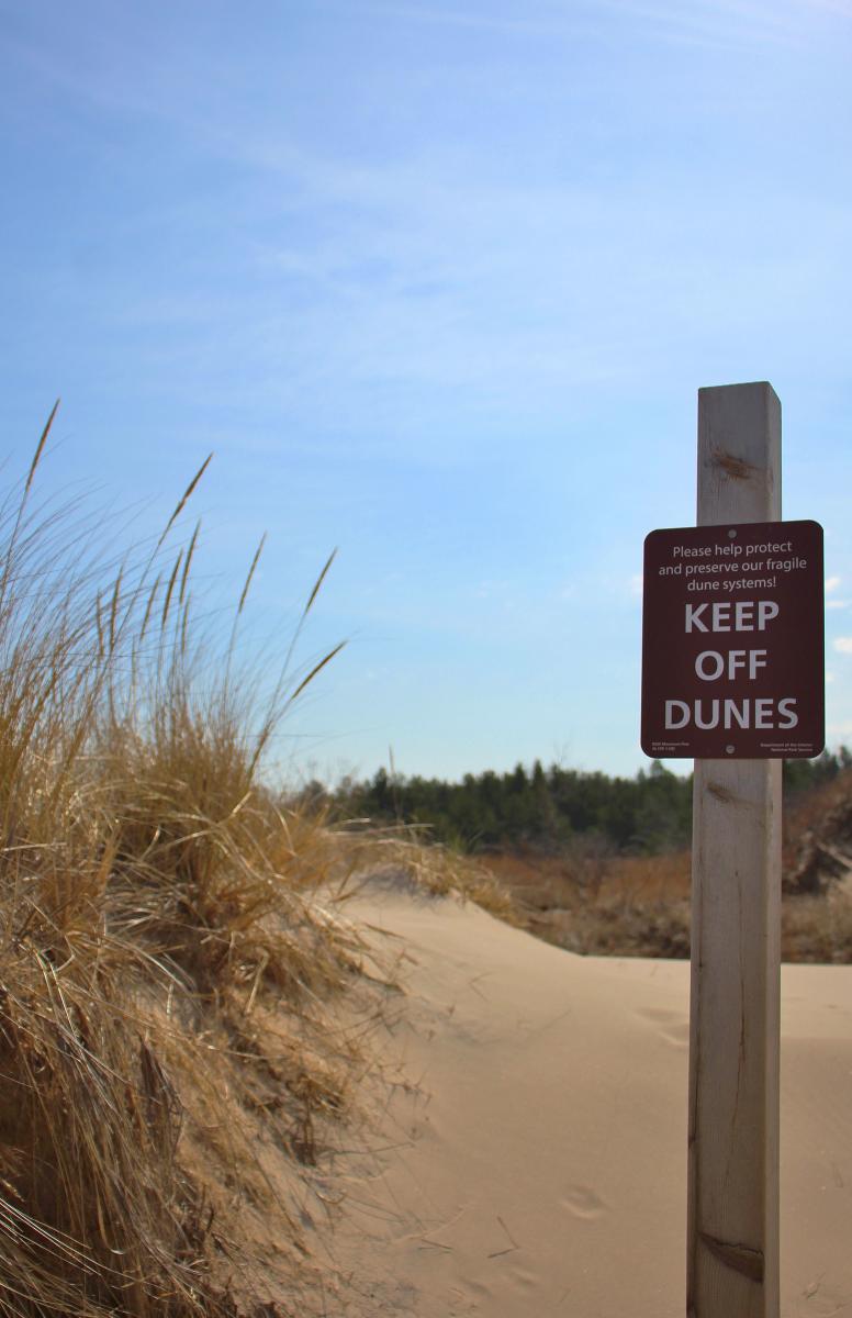 A sign says "Keep Off Dunes" stands in front a a sand dune with vegetation.
